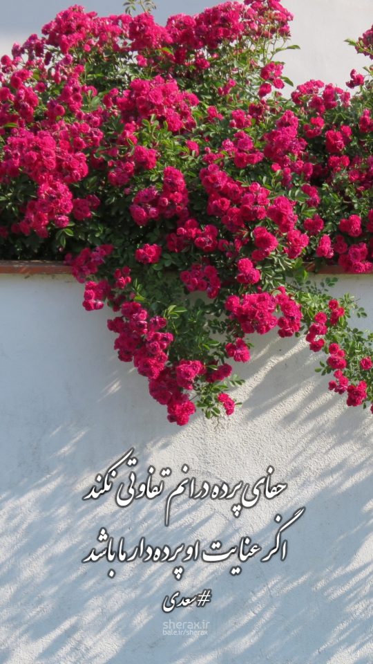شعر عکس - جفای پرده درانم تفاوتی نکند - اگر عنایت او پرده دار ما باشد