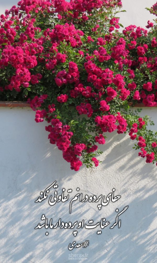 شعر عکس - جفای پرده درانم تفاوتی نکند - اگر عنایت او پرده دار ما باشد