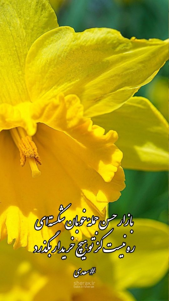 شعر عکس - بازار حسن جملۀ خوبان شکسته‌ای - ره نیست کز تو هیچ خریدار بگذرد