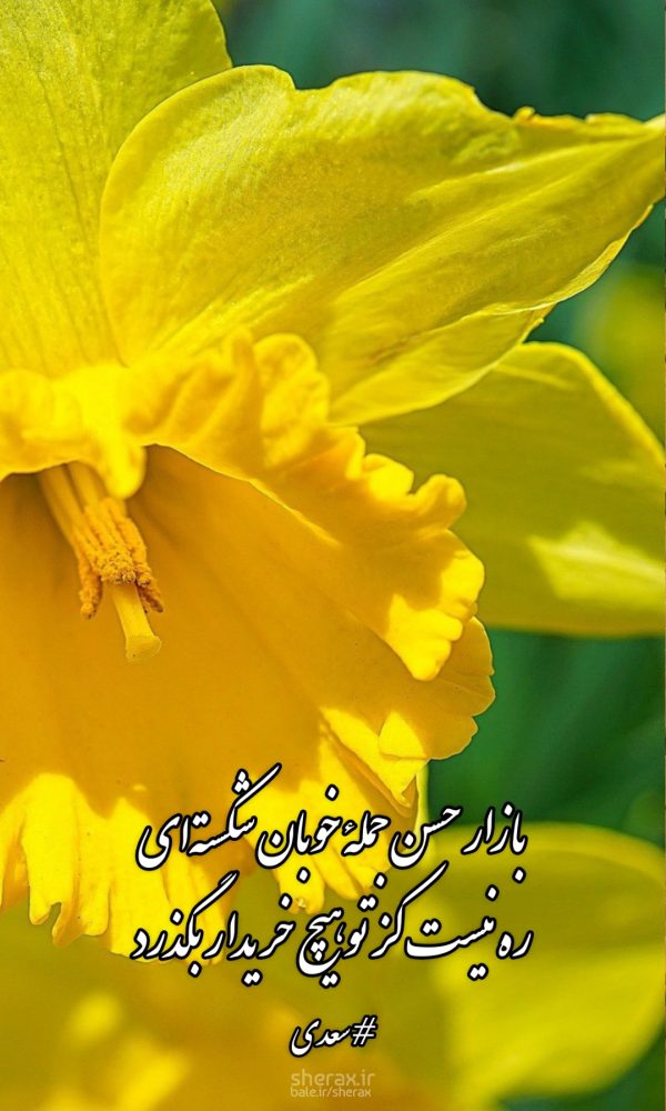 شعر عکس - بازار حسن جملۀ خوبان شکسته‌ای - ره نیست کز تو هیچ خریدار بگذرد
