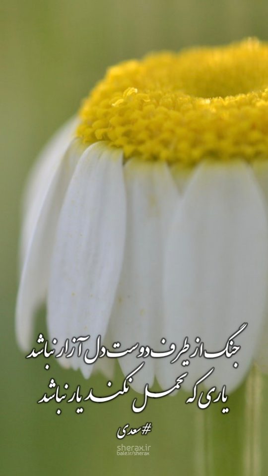 شعر عکس - جنگ از طرف دوست دل آزار نباشد - یاری که تحمل نکند یار نباشد