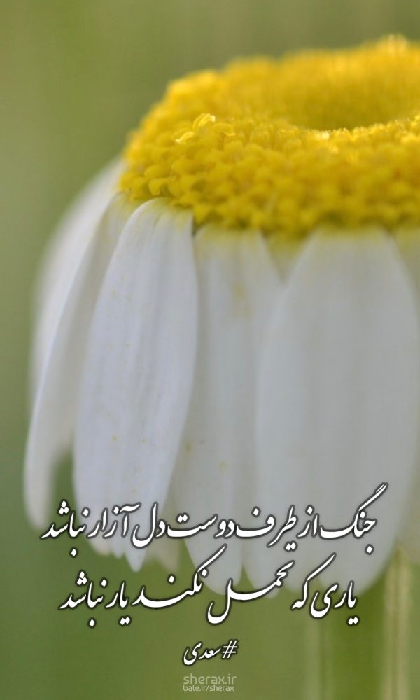 شعر عکس - جنگ از طرف دوست دل آزار نباشد - یاری که تحمل نکند یار نباشد