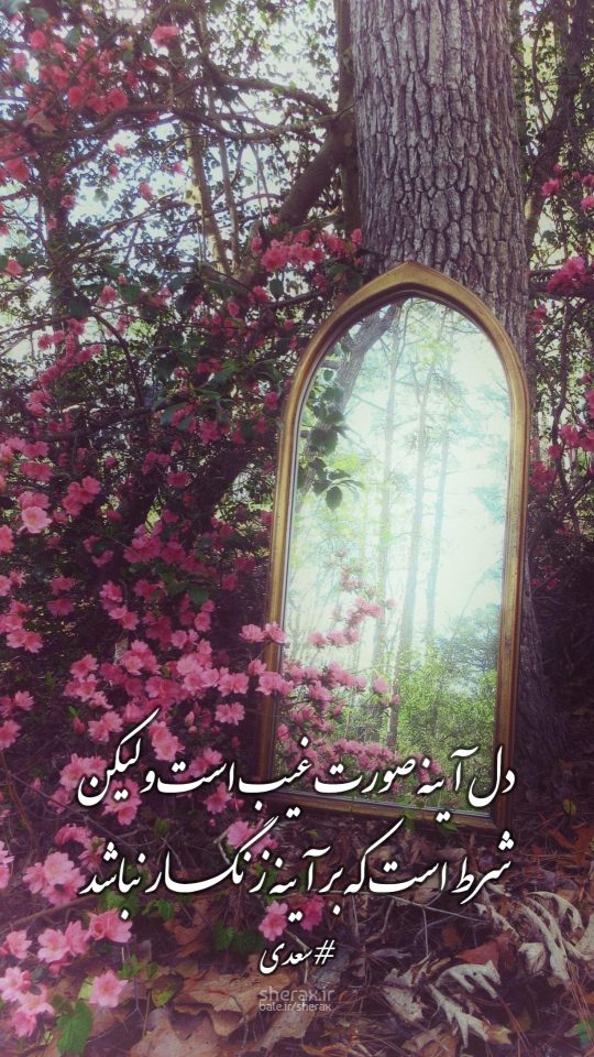 شعر عکس - دل آینه صورت غیب است ولیکن - شرط است که بر آینه زنگار نباشد