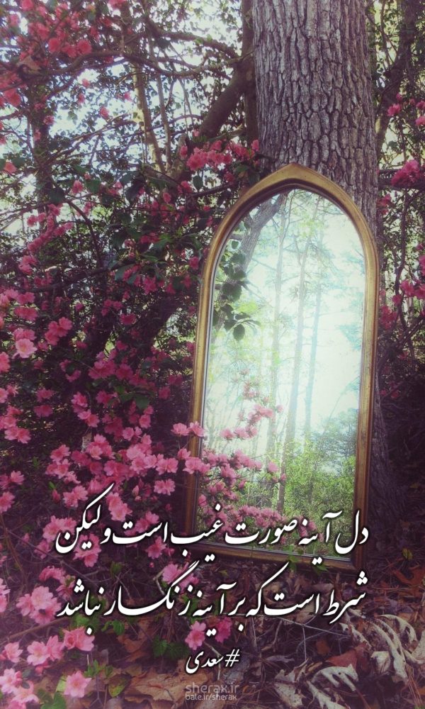 شعر عکس - دل آینه صورت غیب است ولیکن - شرط است که بر آینه زنگار نباشد