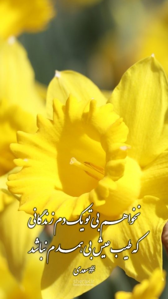 شعر عکس - نخواهم بی تو یک دم زندگانی - که طیب عیش بی همدم نباشد
