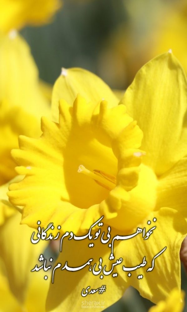 شعر عکس - نخواهم بی تو یک دم زندگانی - که طیب عیش بی همدم نباشد