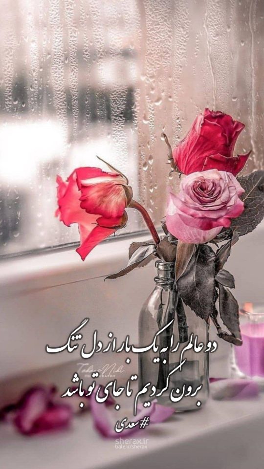 شعر عکس - دو عالم را به یک بار از دل تنگ - برون کردیم تا جای تو باشد