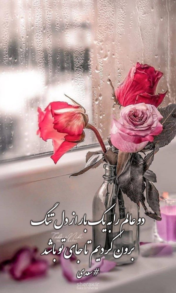 شعر عکس - دو عالم را به یک بار از دل تنگ - برون کردیم تا جای تو باشد