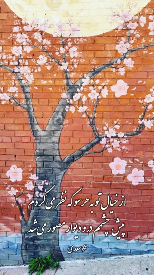 شعر عکس - از خیال تو به هر سو که نظر می‌کردم - پیش چشمم در و دیوار مصور می‌شد