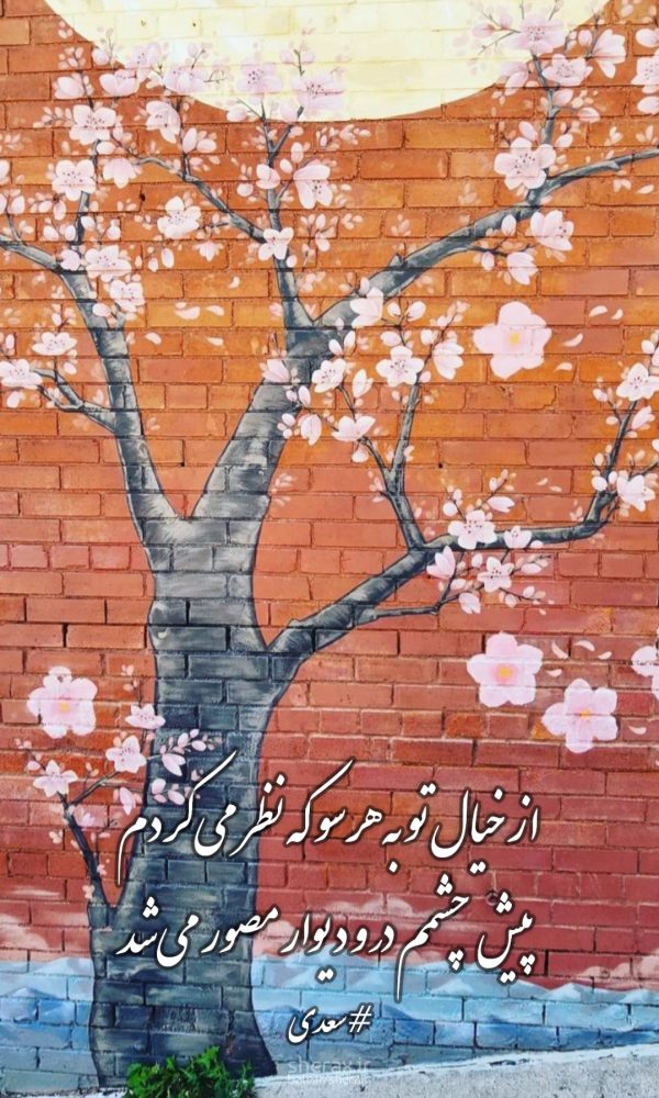 شعر عکس - از خیال تو به هر سو که نظر می‌کردم - پیش چشمم در و دیوار مصور می‌شد