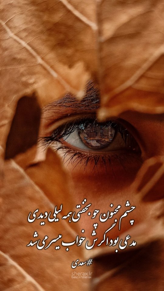 شعر عکس - چشم مجنون چو بخفتی همه لیلی دیدی - مدعی بود اگرش خواب میسر می‌شد