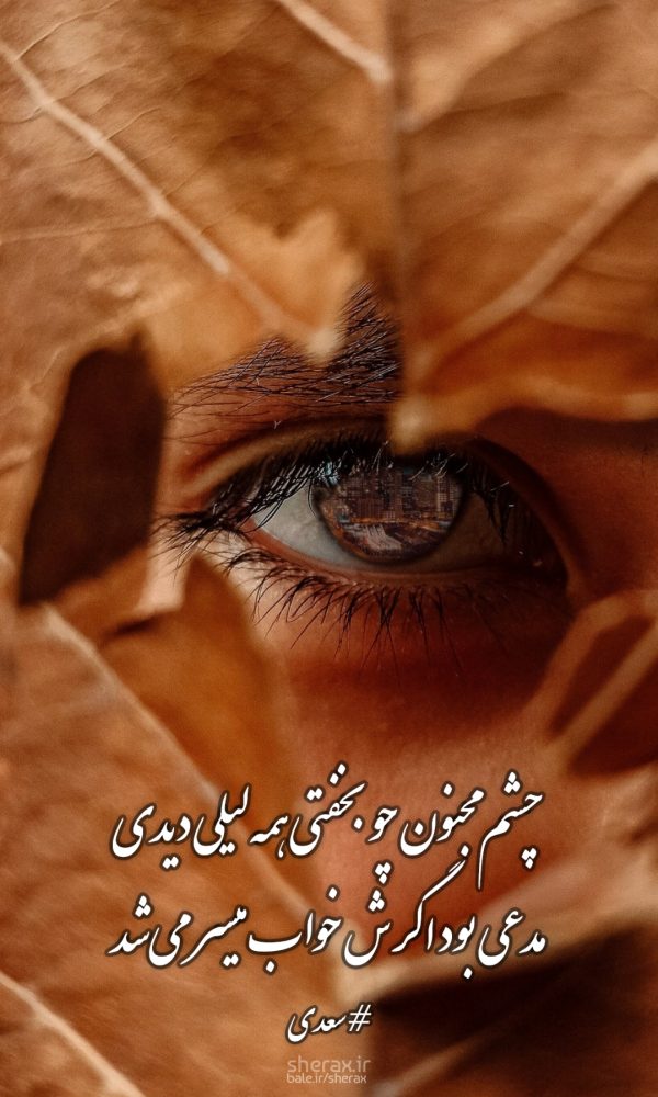 شعر عکس - چشم مجنون چو بخفتی همه لیلی دیدی - مدعی بود اگرش خواب میسر می‌شد