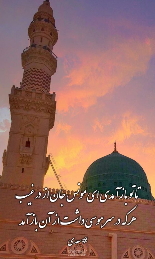 شعر عکس - تا تو بازآمدی ای مونس جان از در غیب - هر که در سر هوسی داشت از آن بازآمد