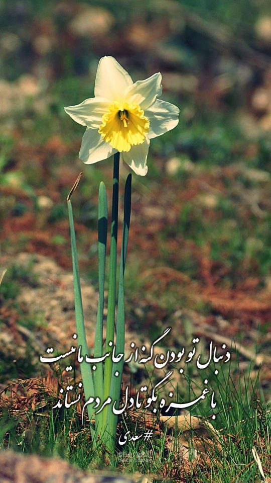 شعر عکس - دنبال تو بودن گنه از جانب ما نیست - با غمزه بگو تا دل مردم نستاند