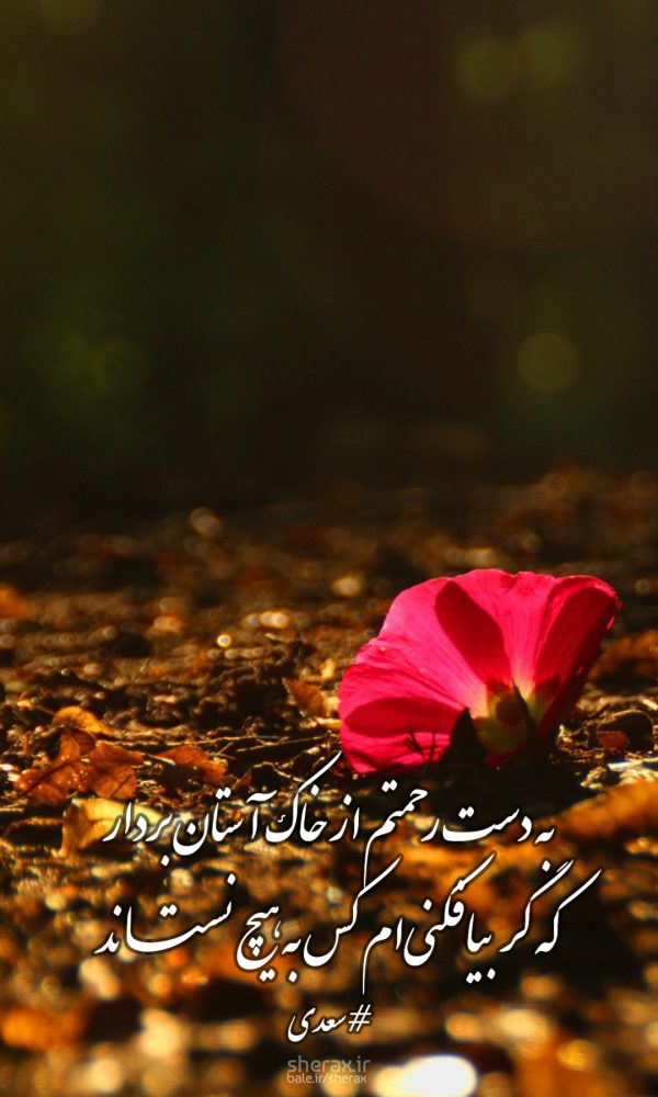 شعر عکس - به دست رحمتم از خاک آستان بردار - که گر بیافکنی‌ام، کس به هیچ نستاند