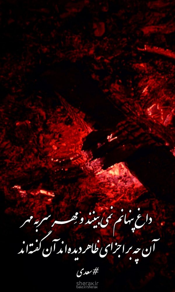 شعر عکس - داغ پنهانم نمی‌بینند و مِهر سر به مهر - آن چه بر اجزای ظاهر دیده‌اند آن گفته‌اند