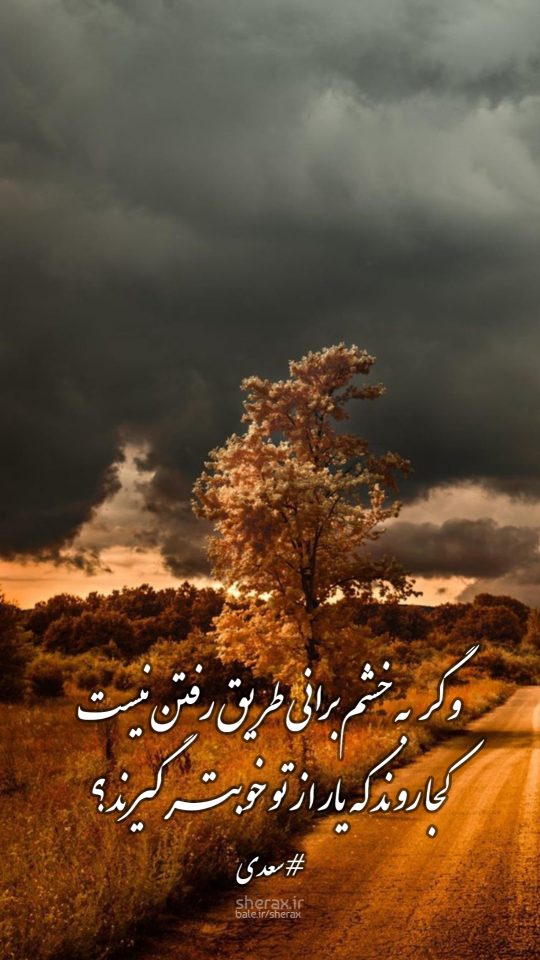 شعر عکس - و گر به خشم برانی طریق رفتن نیست - کجا روند که یار از تو خوبتر گیرند