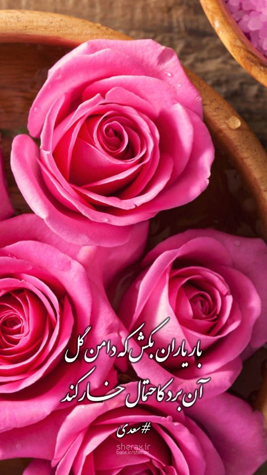 شعر عکس - بار یاران بکش که دامن گل - آن برد کاحتمال خار کند