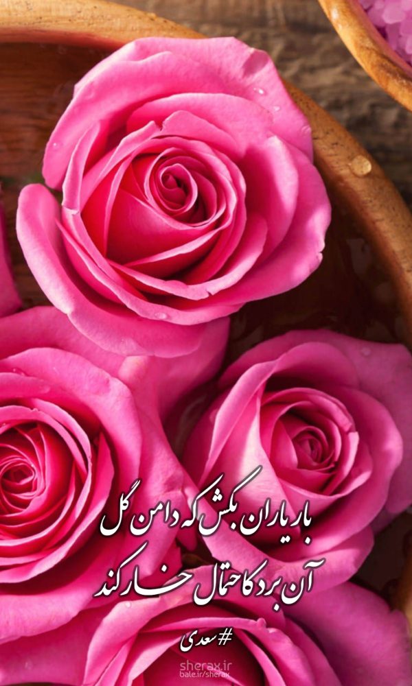 شعر عکس - بار یاران بکش که دامن گل - آن برد کاحتمال خار کند