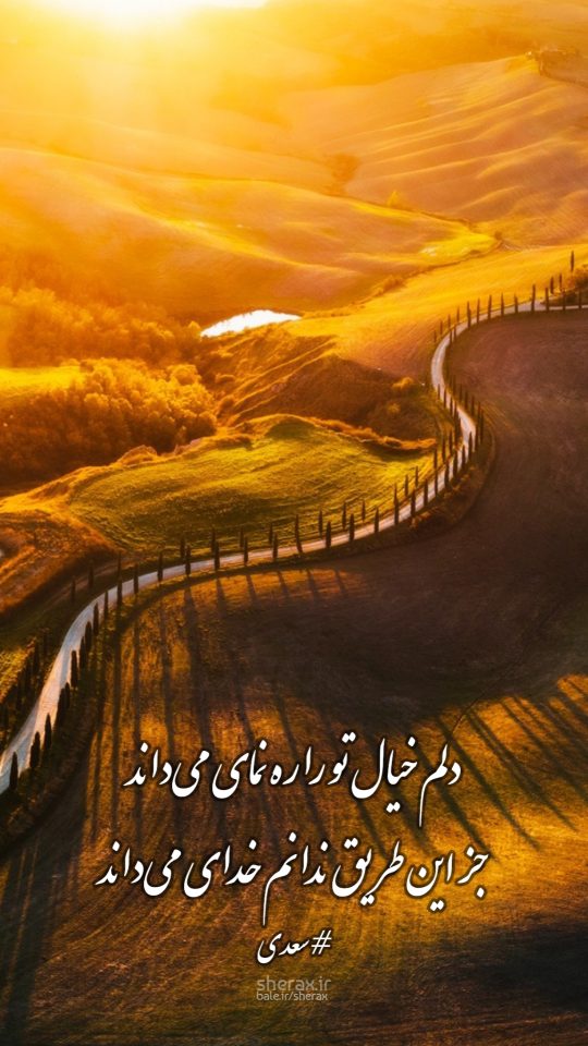 شعر عکس - دلم خیال تو را ره نمای می‌داند - جز این طریق ندانم خدای می‌داند
