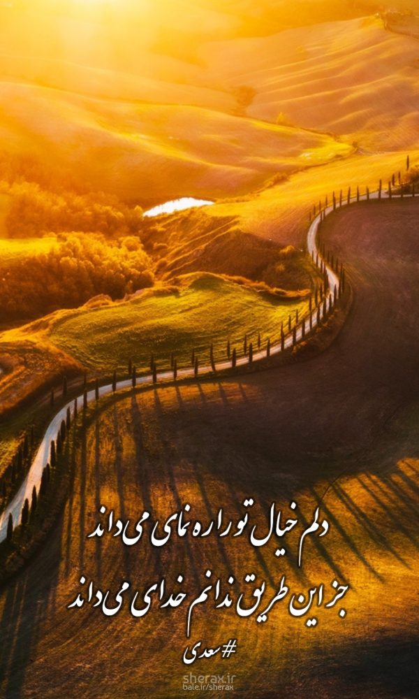 شعر عکس - دلم خیال تو را ره نمای می‌داند - جز این طریق ندانم خدای می‌داند