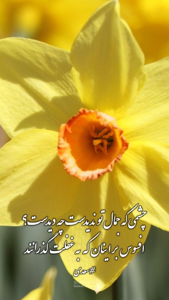 شعر عکس - چشمی که جمال تو ندیدست چه دیدست - افسوس بر اینان که به غفلت گذرانند