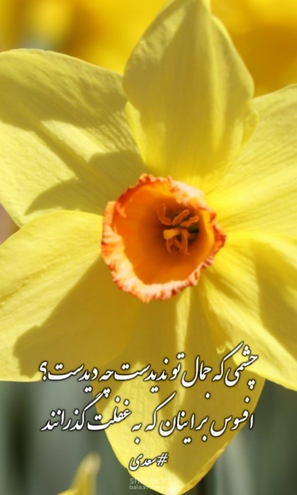 شعر عکس - چشمی که جمال تو ندیدست چه دیدست - افسوس بر اینان که به غفلت گذرانند