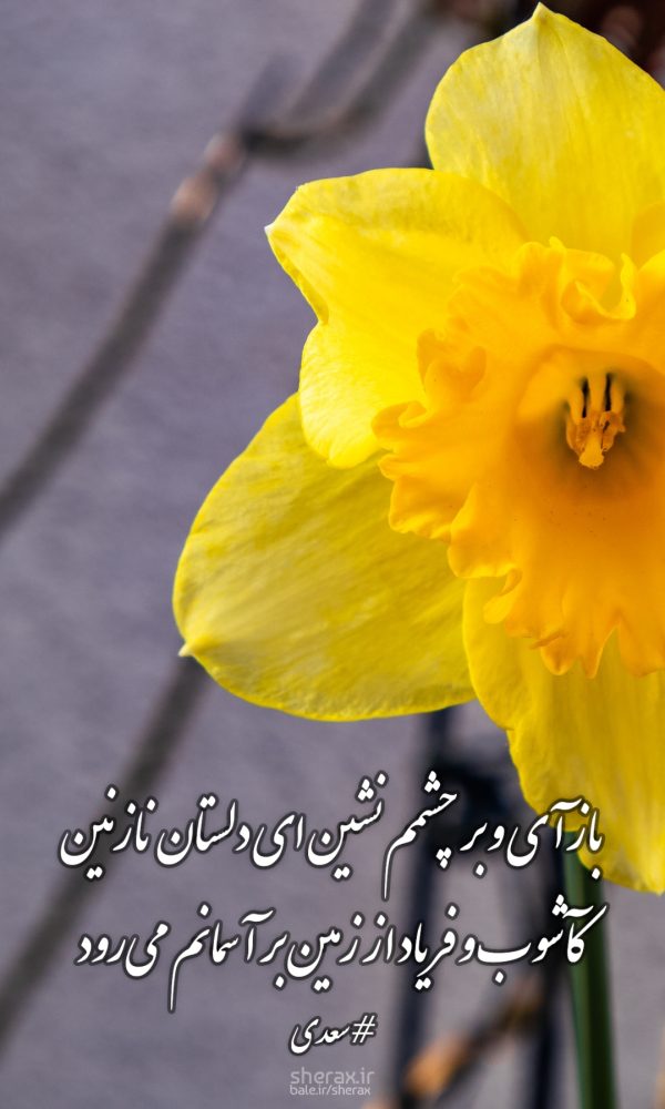 شعر عکس - بازآی و بر چشمم نشین ای دلستان نازنین - کآشوب و فریاد از زمین بر آسمانم می‌رود