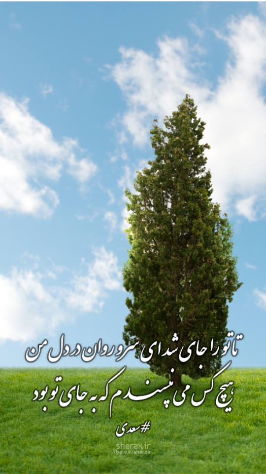 شعر عکس - تا تو را جای شد ای سرو روان در دل من - هیچ کس می‌نپسندم که به جای تو بود