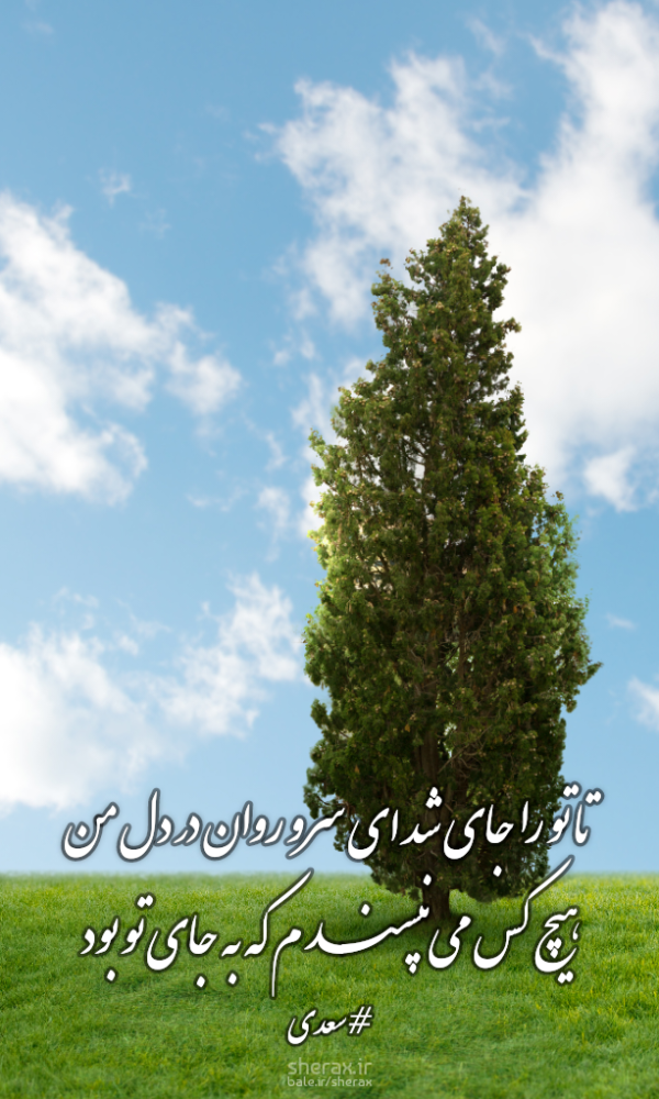 شعر عکس - تا تو را جای شد ای سرو روان در دل من - هیچ کس می‌نپسندم که به جای تو بود