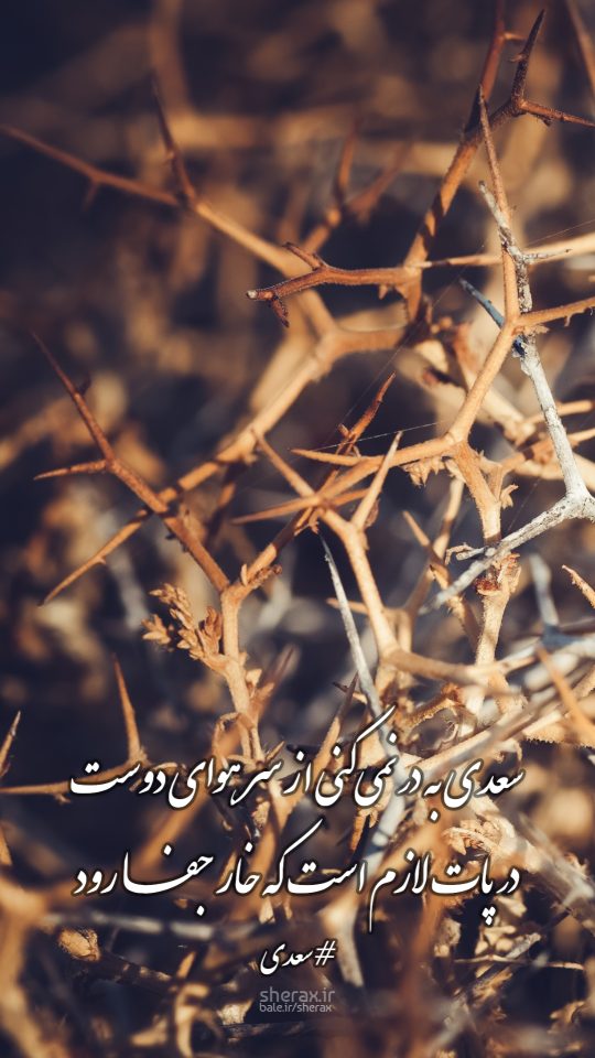 شعر عکس - سعدی به در نمی‌کنی از سر هوای دوست - در پات لازم است که خار جفا رود