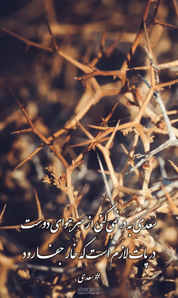 شعر عکس - سعدی به در نمی‌کنی از سر هوای دوست - در پات لازم است که خار جفا رود