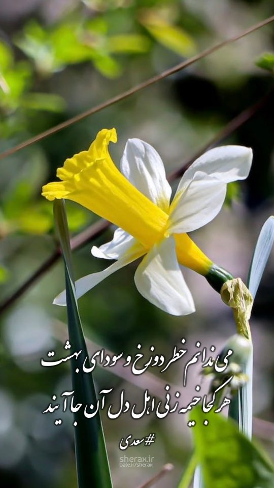 شعر عکس - می‌ندانم خطر دوزخ و سودای بهشت - هر کجا خیمه زنی اهل دل آن جا آیند