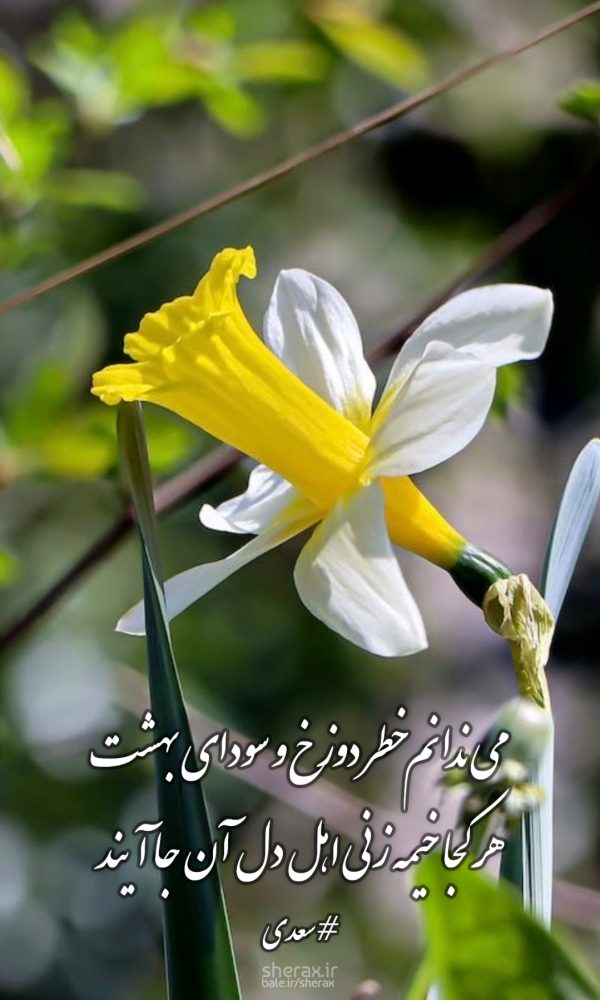 شعر عکس - می‌ندانم خطر دوزخ و سودای بهشت - هر کجا خیمه زنی اهل دل آن جا آیند