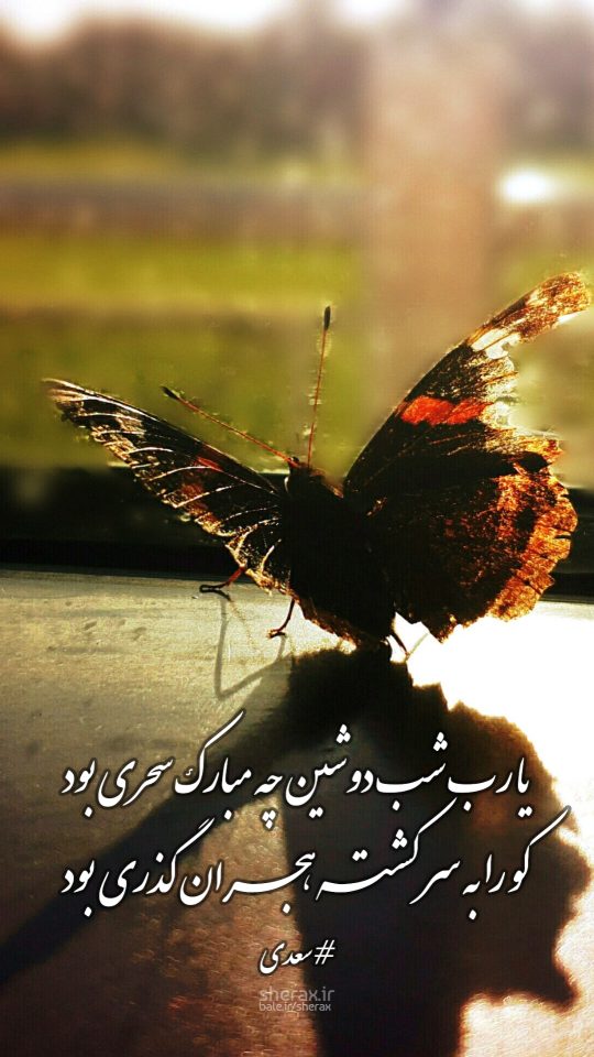 شعر عکس - یا رب شب دوشین چه مبارک سحری بود - کو را به سر کشته هجران گذری بود