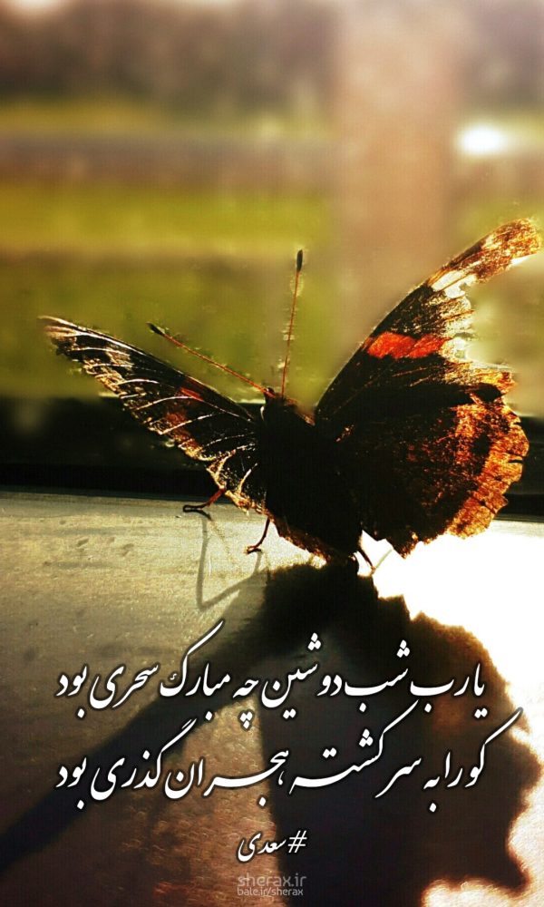 شعر عکس - یا رب شب دوشین چه مبارک سحری بود - کو را به سر کشته هجران گذری بود