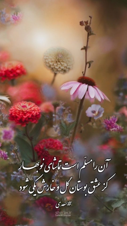 شعر عکس - آن را مسلم است تماشای نوبهار - کز عشق بوستان گل و خارش یکی شود