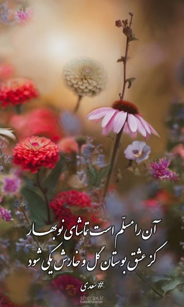 شعر عکس - آن را مسلم است تماشای نوبهار - کز عشق بوستان گل و خارش یکی شود