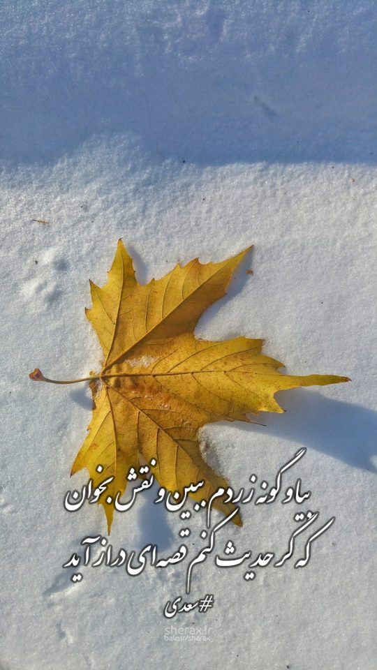 شعر عکس - بیا و گونه زردم ببین و نقش بخوان - که گر حدیث کنم قصه‌ای دراز آید