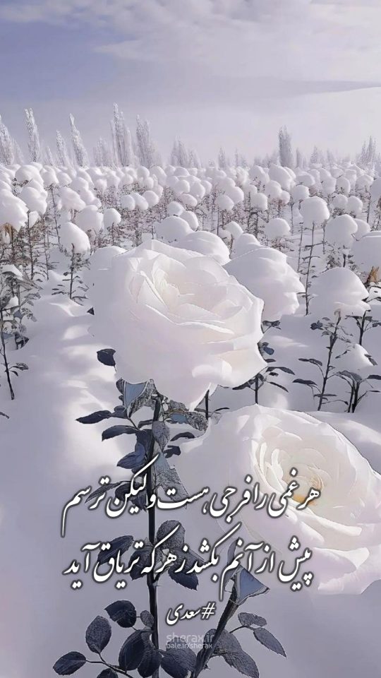 شعر عکس - هر غمی را فرجی هست ولیکن ترسم - پیش از آنم بکشد زهر که تریاق آید