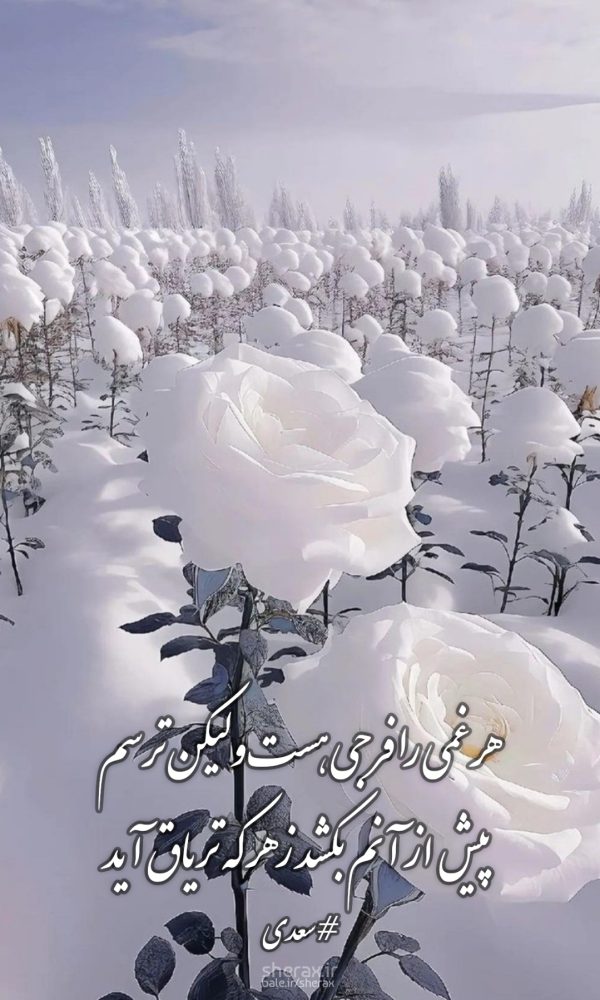 شعر عکس - هر غمی را فرجی هست ولیکن ترسم - پیش از آنم بکشد زهر که تریاق آید