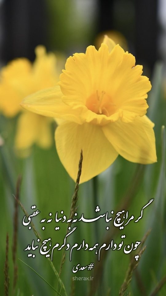 شعر عکس - گر مرا هیچ نباشد نه به دنیا نه به عقبی - چون تو دارم همه دارم دگرم هیچ نباید