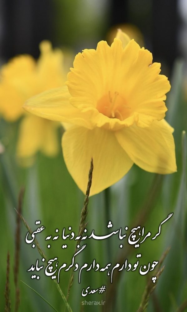 شعر عکس - گر مرا هیچ نباشد نه به دنیا نه به عقبی - چون تو دارم همه دارم دگرم هیچ نباید