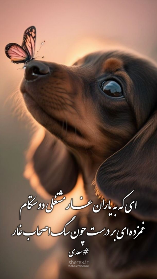 شعر عکس - ای که به یاران غار مشتغلی دوستکام - غمزده‌ای بر درست چون سگ اصحاب کهف