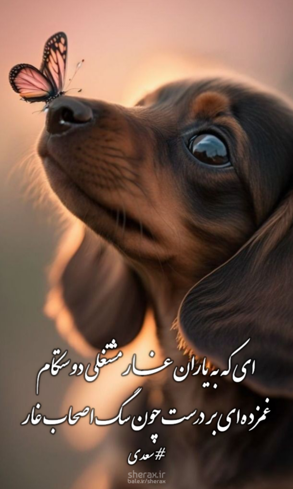 شعر عکس - ای که به یاران غار مشتغلی دوستکام - غمزده‌ای بر درست چون سگ اصحاب کهف