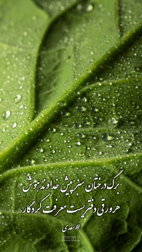 شعر عکس - برگ درختان سبز پیش خداوند هوش - هر ورقش دفتری‌ست معرفت کردگار