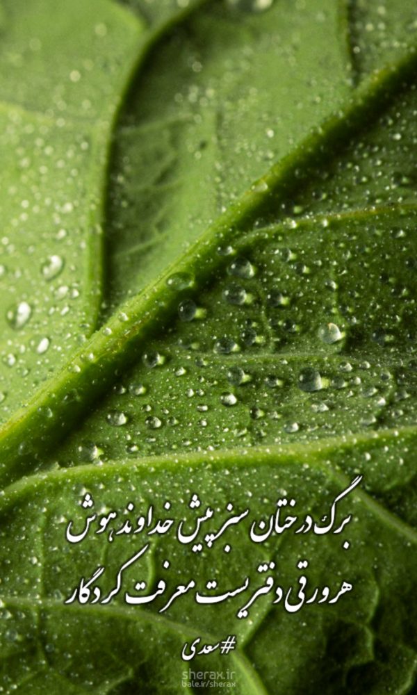 شعر عکس - برگ درختان سبز پیش خداوند هوش - هر ورقش دفتری‌ست معرفت کردگار