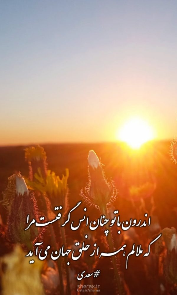 شعر عکس - اندرون با تو چنان انس گرفتست مرا - که ملالم همه از خلق جهان می‌آید