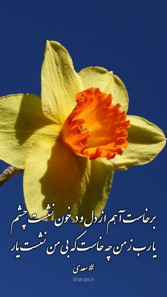 شعر عکس - برخاست آهم از دل و در خون نشست چشم - یا رب ز من چه خاست که بی من نشست یار