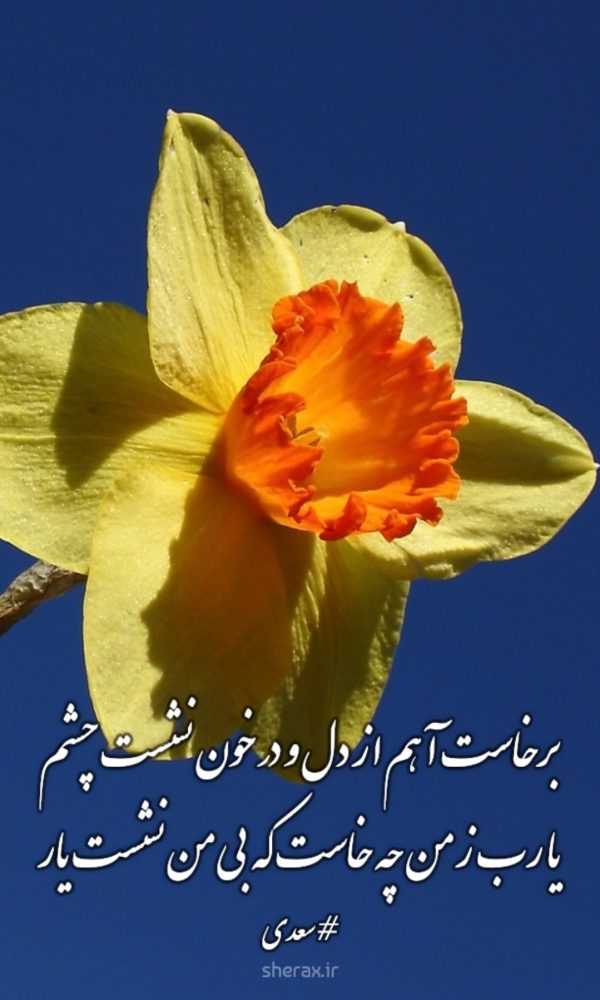 شعر عکس - برخاست آهم از دل و در خون نشست چشم - یا رب ز من چه خاست که بی من نشست یار